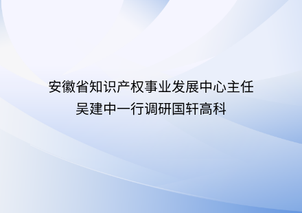 安徽省知識產(chǎn)權(quán)事業(yè)發(fā)展中心主任吳建中一行調(diào)研國軒高科